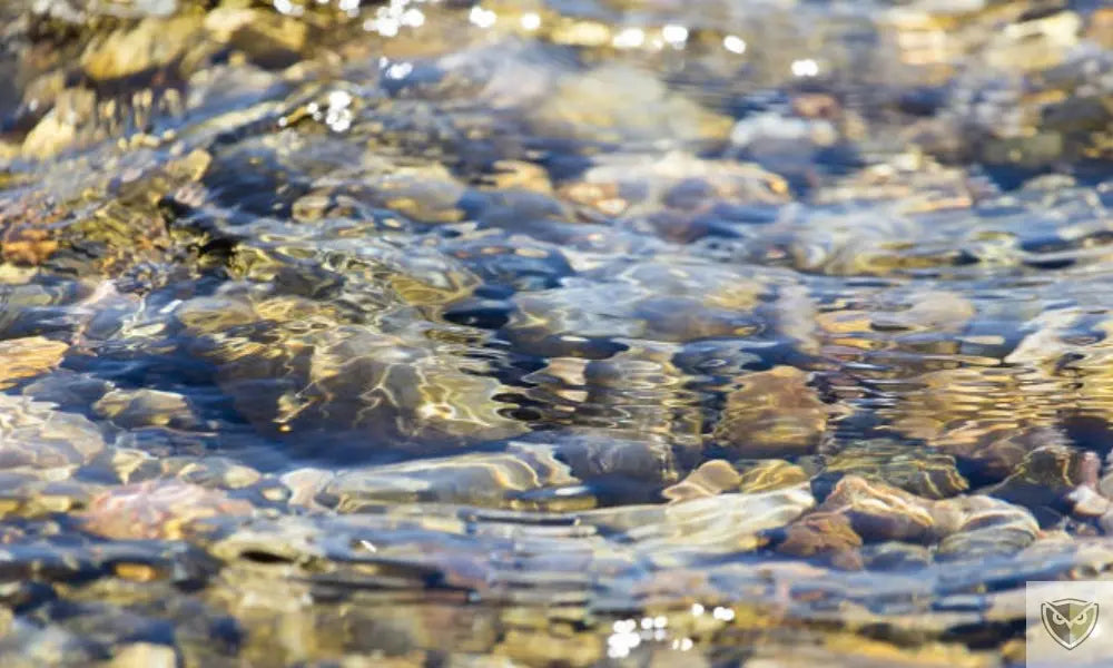 8 Practical Tips for Finding and Making Water Drinkable in Survival Situations