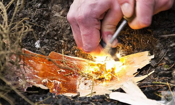 Allumer un Feu en Milieu Sauvage : La Méthode au Silex