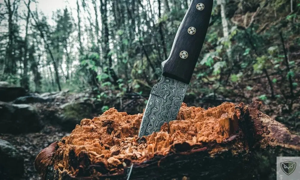 Survival Knife vs Bushcraft: Comparison and Tips