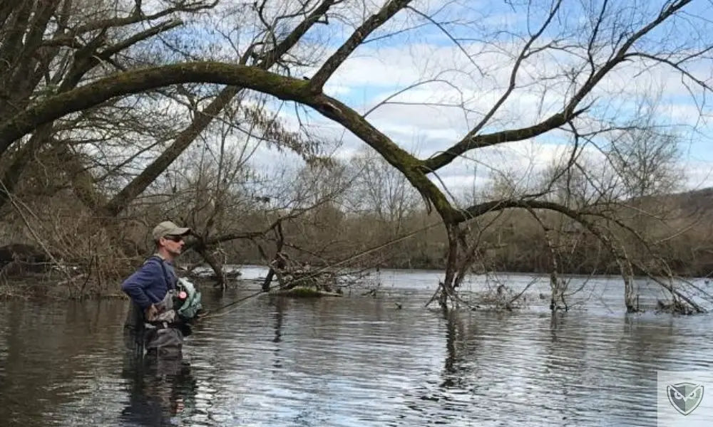 Survival Fishing: 5 Easy Techniques to Know in the Wild