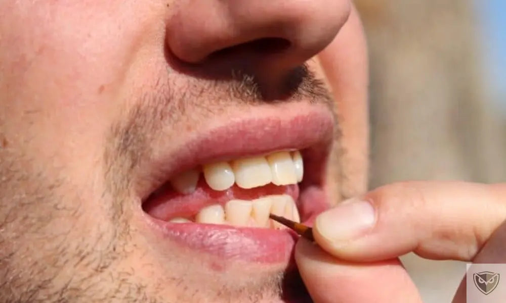 Taking Care of Your Teeth in Survival Situations: Simple and Effective Methods