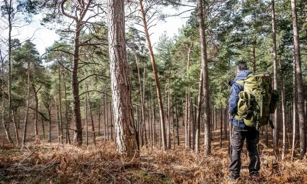 S’orienter sans outils : 3 techniques naturelles pour trouver sa direction
