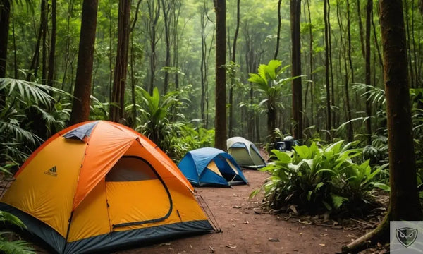 Survivre en climat tropical : 5 conseils essentiels pour affronter chaleur, pluie et humidité