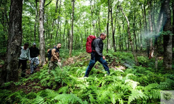 Végétation dense : 3 techniques pour franchir les obstacles naturels en sécurité